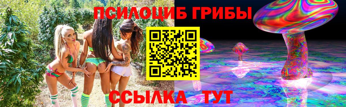 Псилоцибиновые грибы GOLDEN TEACHER  Вход с VPN  Боровичи  Галлюциногенные грибы мухоморы 